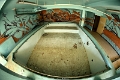 santorium (5)